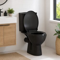 Toilet Seat Soft Close Quick Release Standard Bowl Black Bathroom Fixture