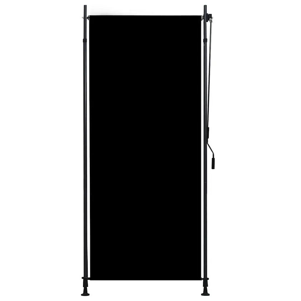 Outdoor Roller Blind Hand Crank 100x270cm Anthracite Fade Resistant Fabric Sun Blocking