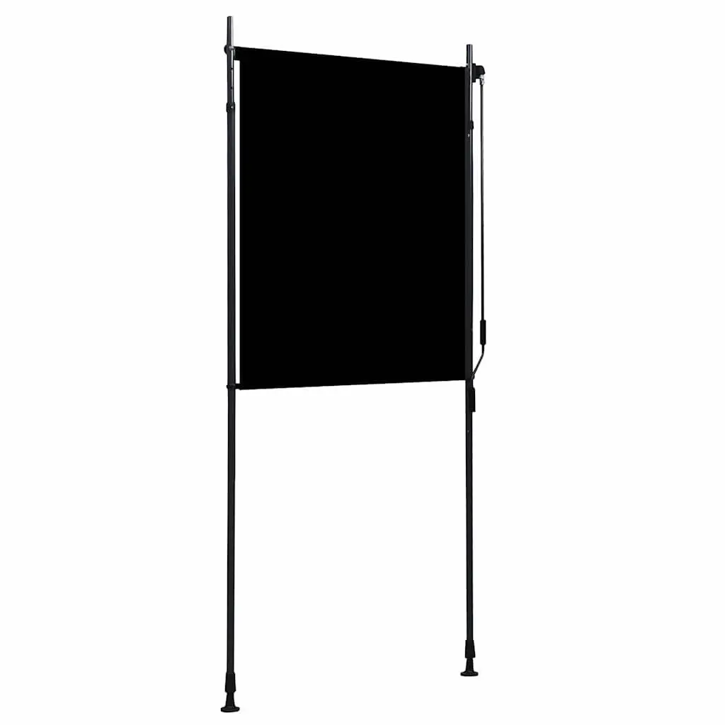 Outdoor Roller Blind Hand Crank 100x270cm Anthracite Fade Resistant Fabric Sun Blocking