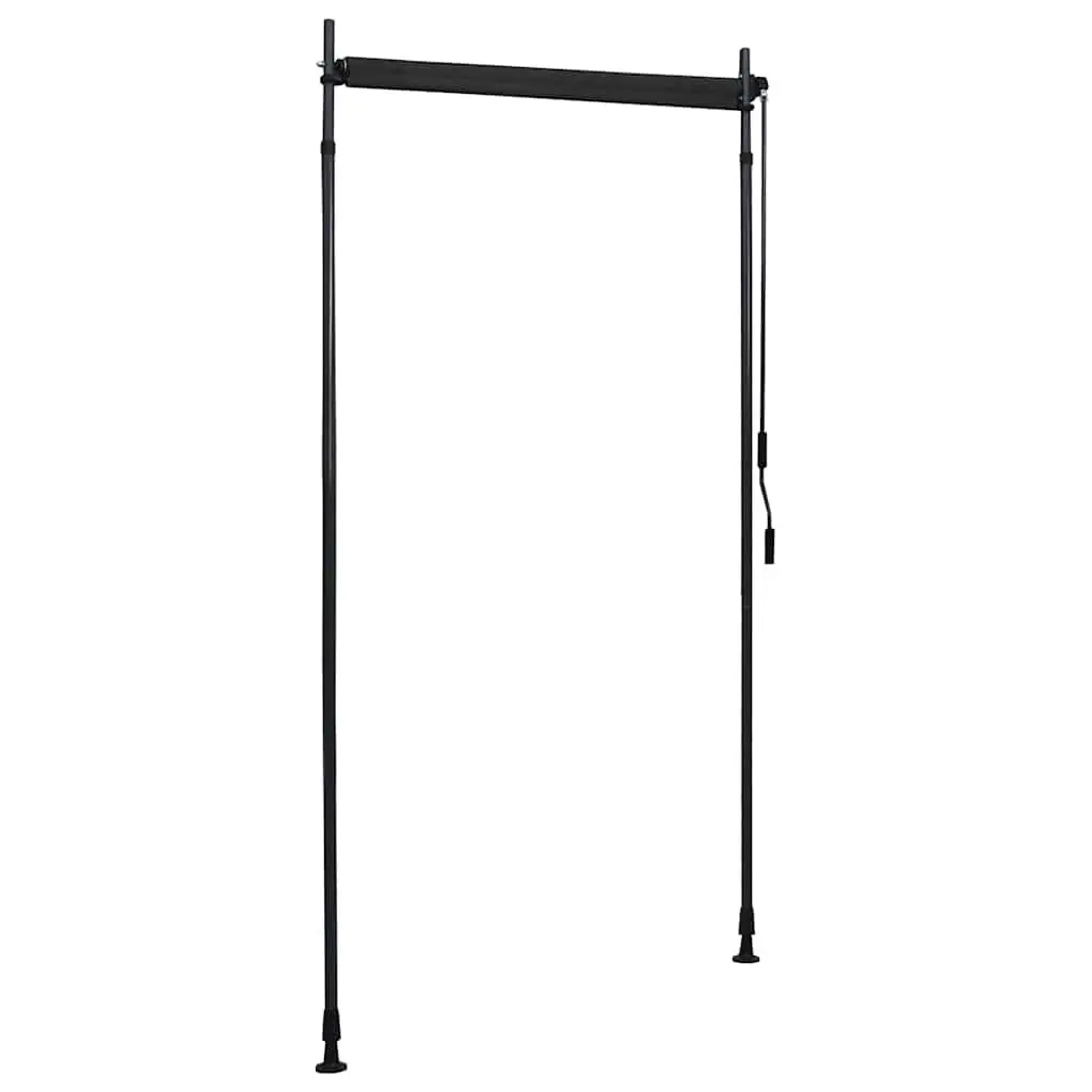 Outdoor Roller Blind Hand Crank 100x270cm Anthracite Fade Resistant Fabric Sun Blocking