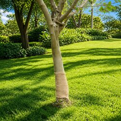 Jute Roll 0.25 x 10 m Natural Burlap Runner Table Decor Craft Floral Events