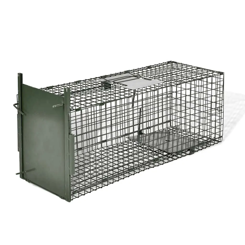 Live Animal Trap 1 Door Green Hunting Catch Cage Foldable Handle Transport