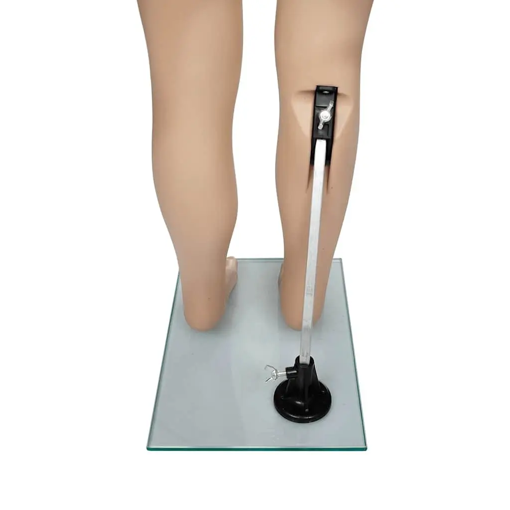 Child Mannequin Display Torso Removable Arms Rotating Beige