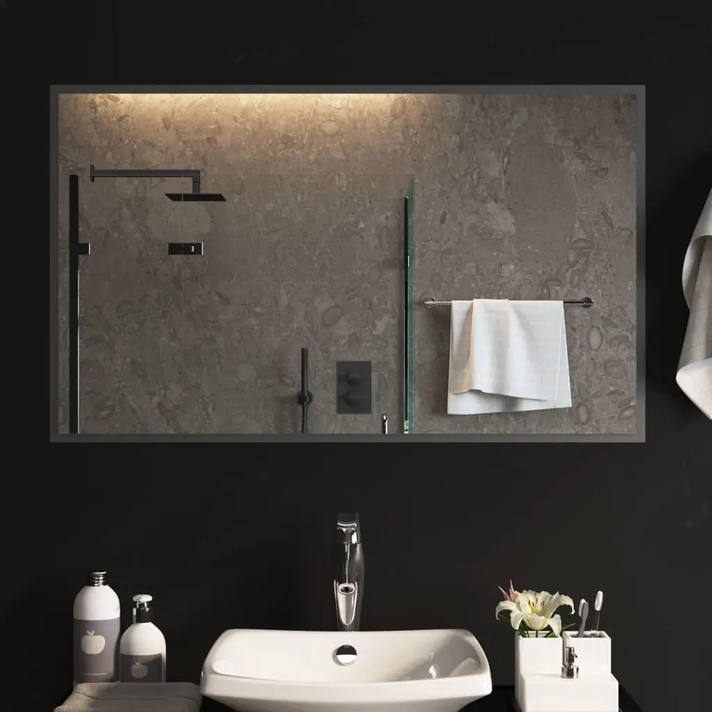 LED Bathroom Mirror Waterproof 60x100 cm Wall-Mounted USB Power Transparent