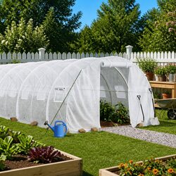 Greenhouse Steel Frame White 12x3x2m 36m² Garden Plant House Ventilation