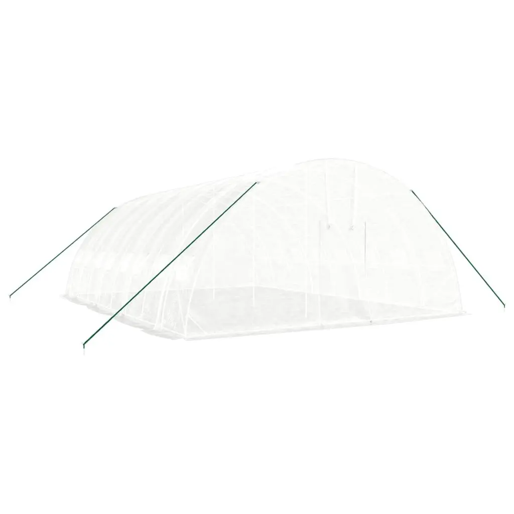 Greenhouse Spacious 48 m² White Steel Frame 8x6x2.85m Outdoor Plant House
