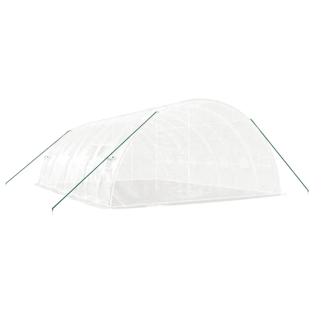 Greenhouse Spacious 48 m² White Steel Frame 8x6x2.85m Outdoor Plant House
