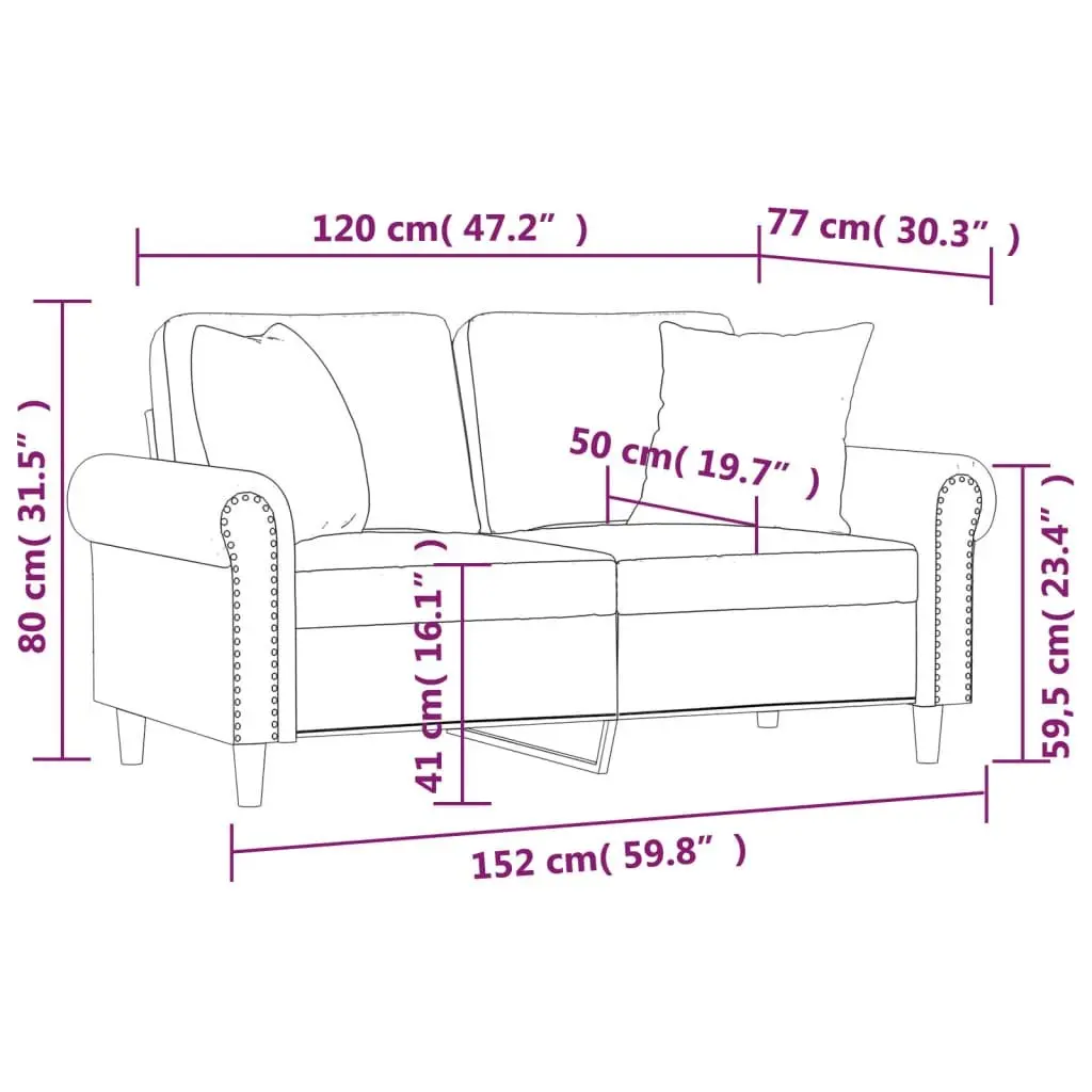2-Seater Sofa Grey Velvet Modern Lounge Couch with Throw Pillows 120cm Living