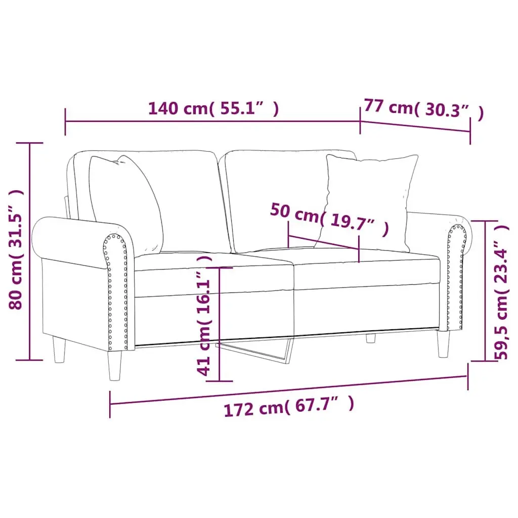 2-Seater Sofa Modern Velvet Black 140cm Couch with Throw Pillows