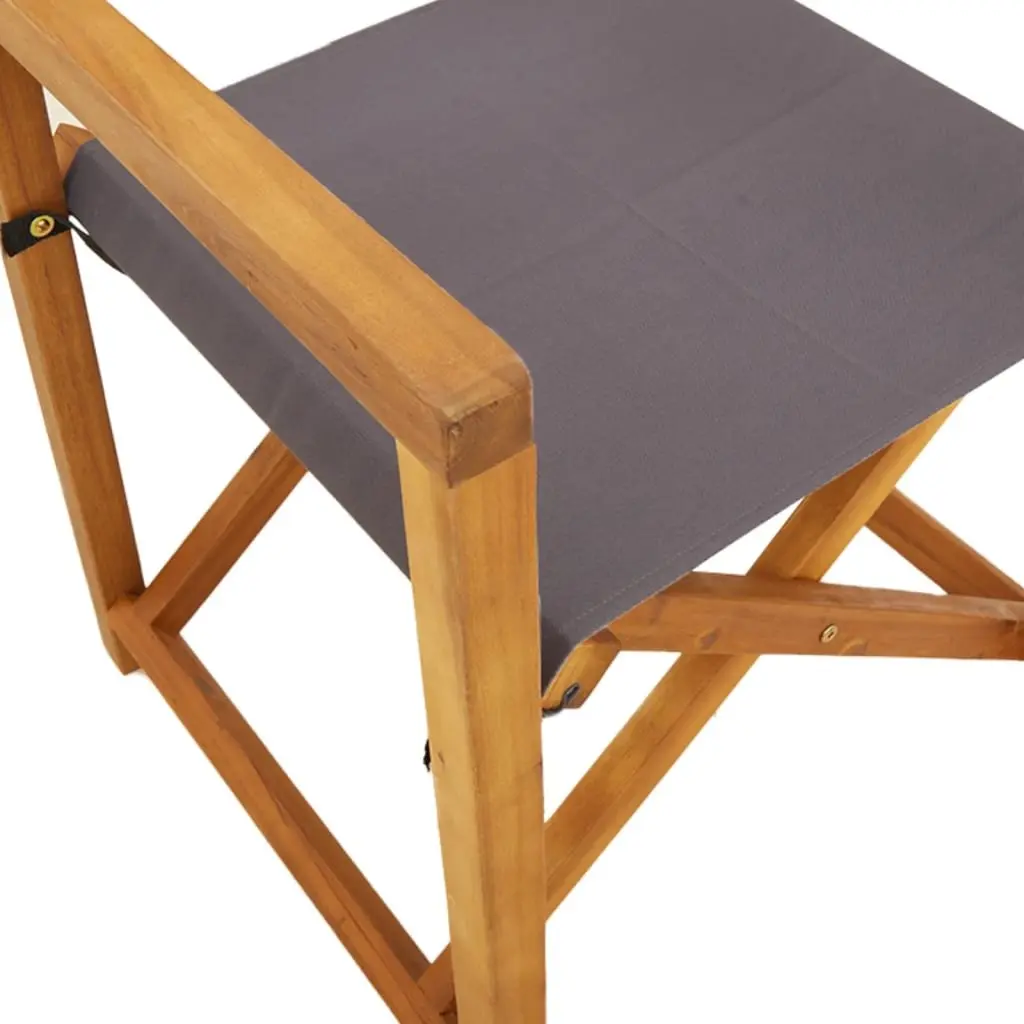 Outdoor Folding Garden Chairs Set of 8 Dark Grey Fabric Director Style Camping