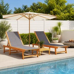 Sun Loungers 2 pcs Adjustable Backrest Outdoor Lounge Chair Patio Garden Pool
