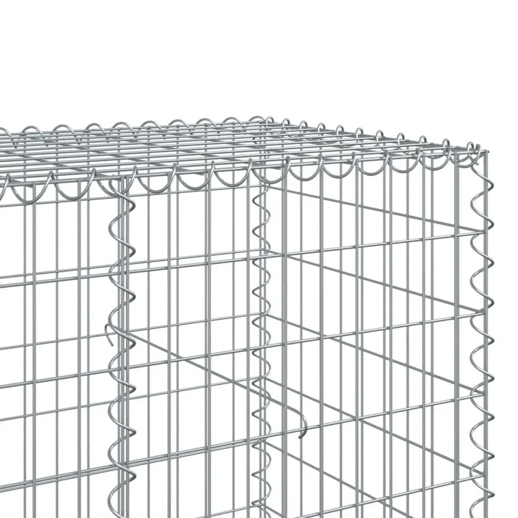 Gabion Basket Galvanised Iron Wire 1100x100x100 cm Garden Cage