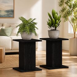 Plant Stand 2 pcs Black 30x30x40cm Modern Indoor Outdoor Display Holder