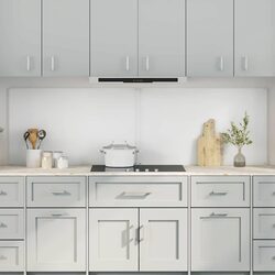 Kitchen Backsplash Tempered Glass 100 x 60 cm Transparent Splashback Wall