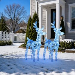 Christmas Reindeer Lights 2 pcs Blue Acrylic Outdoor Yard Decoration LED Display