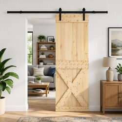 Sliding Door Modern Design Space Saving Interior Doorway Natural Wood Black