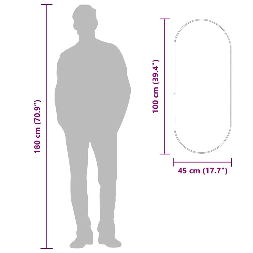 Oval Wall Mirror Black 100x45 cm Glass PVC Frame