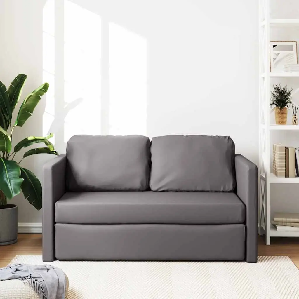 Floor Sofa Bed 2-in-1 Convertible Loveseat Grey Folding Sleeper Living Room