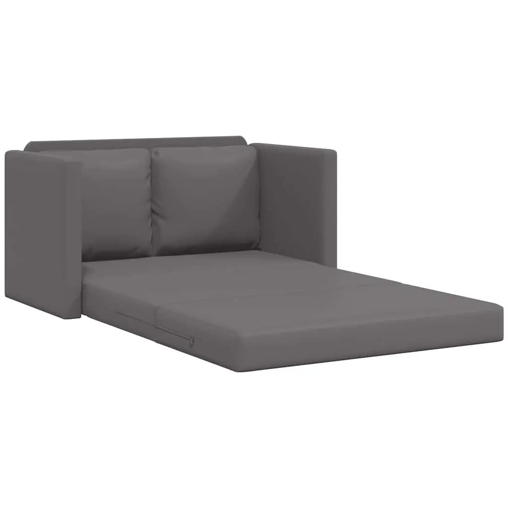 Floor Sofa Bed 2-in-1 Convertible Loveseat Grey Folding Sleeper Living Room