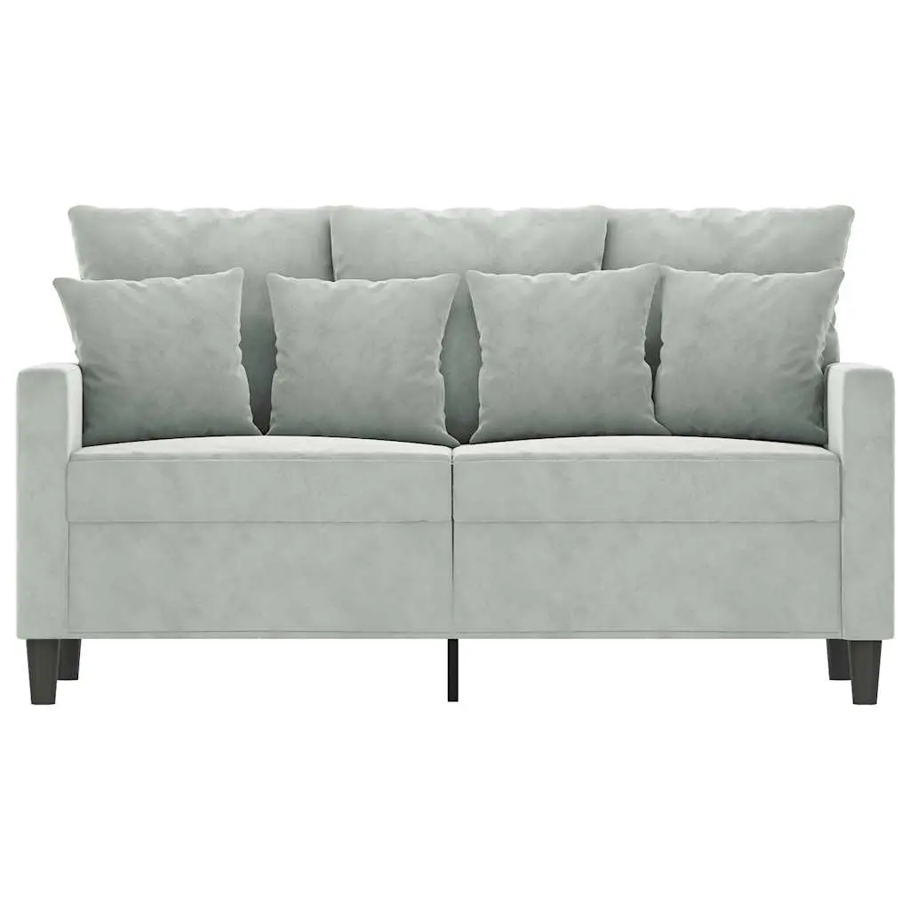 2-Seater Sofa Grey Velvet 120cm Modern Living Room Couch Comfortable Padded