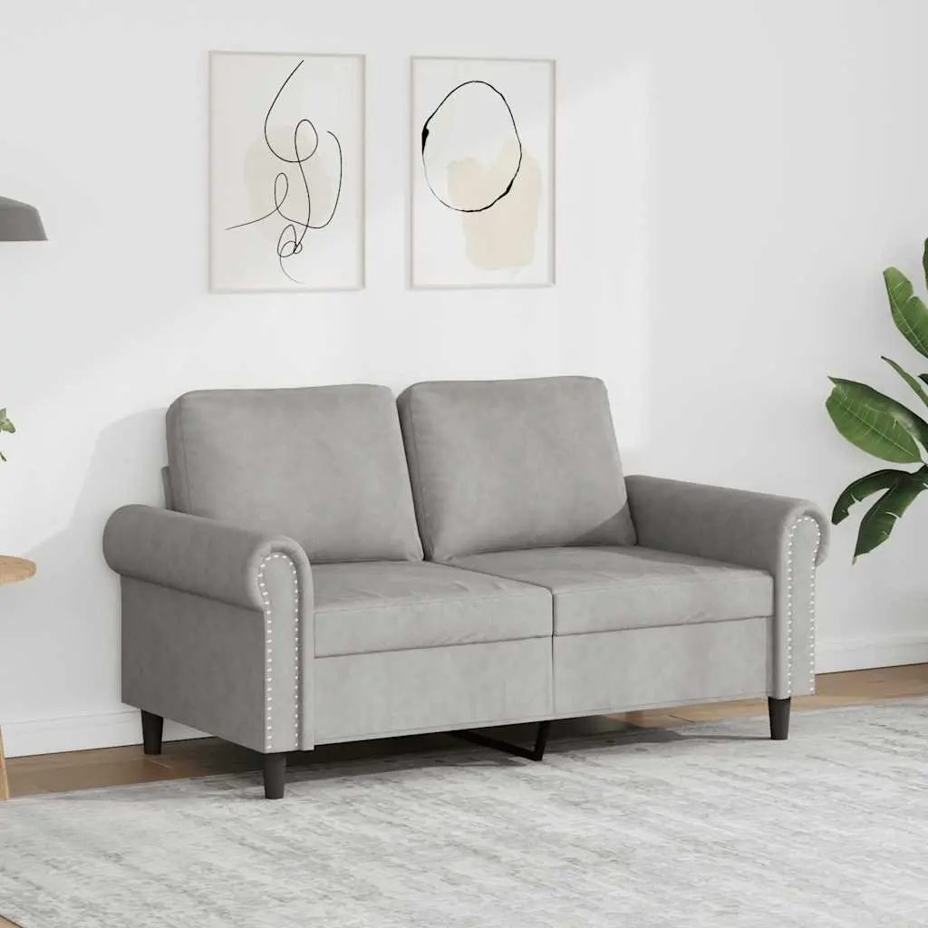 2-Seater Sofa Grey Velvet 120cm Modern Living Room Couch Comfortable Padded