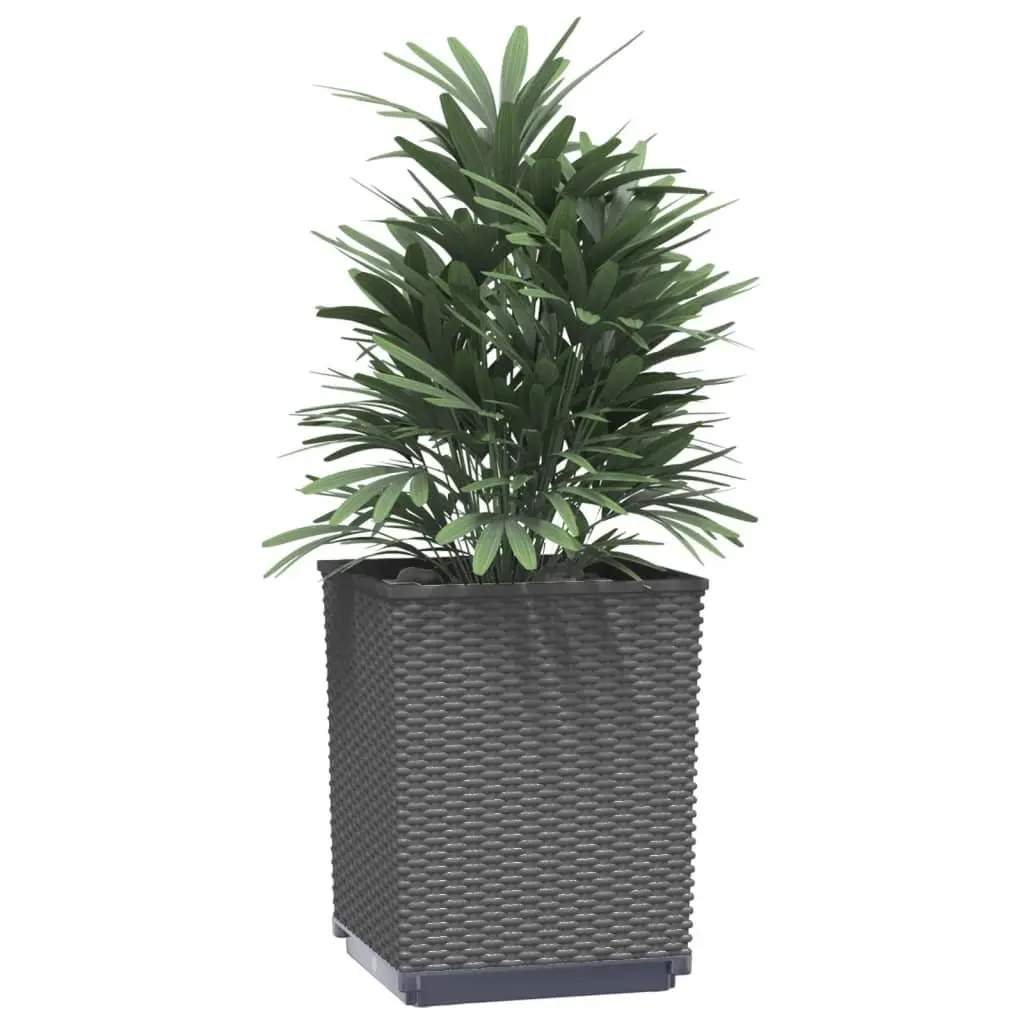 Black Planters 30x30x37cm Durable Polypropylene Set of 2 Garden Flower Pots Outdoor