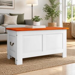 Storage Chest with Lid White Solid Wood Acacia Living Room Bedroom Organization