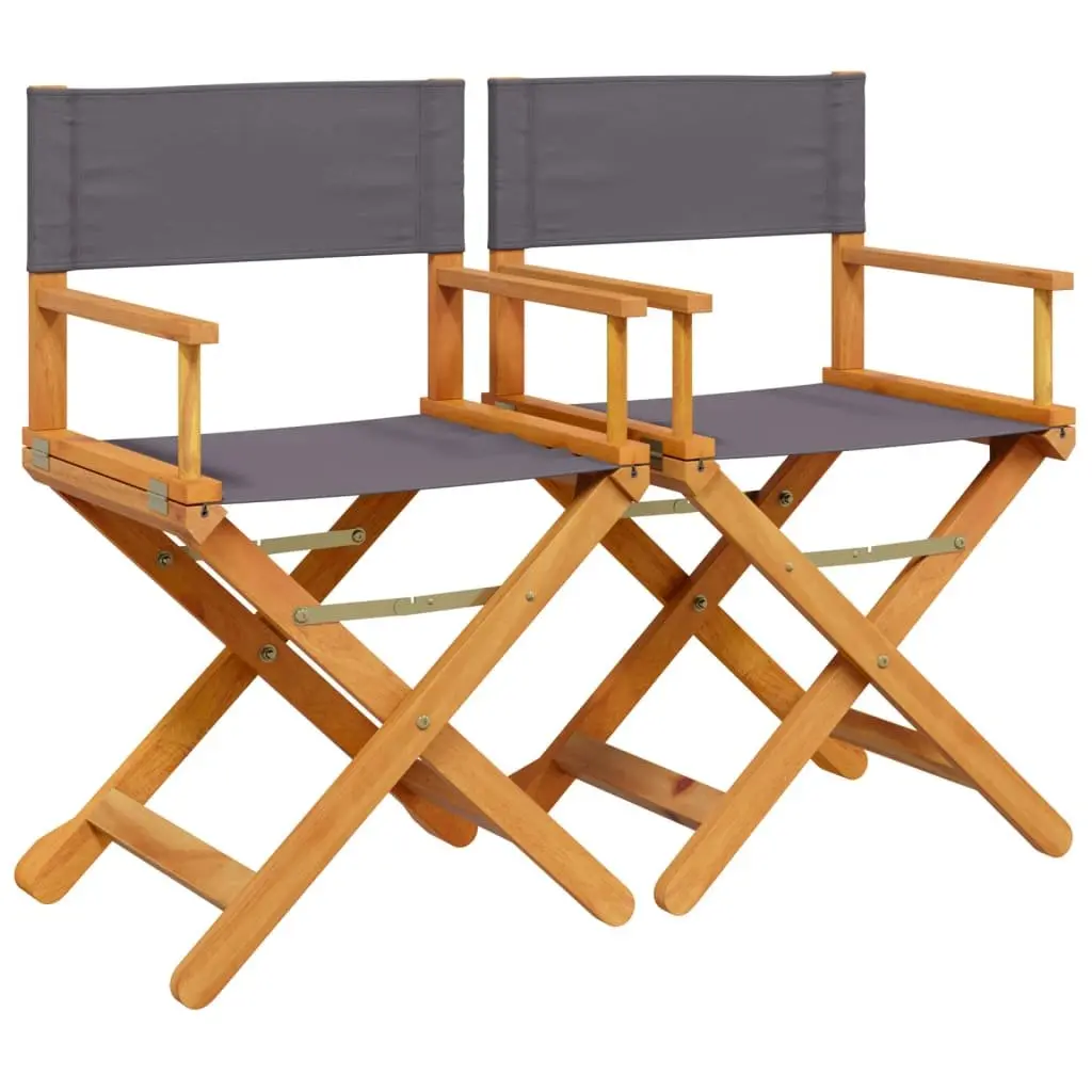 Folding Director Chair Set 2 pcs Grey Fabric Outdoor Garden Camping Portable