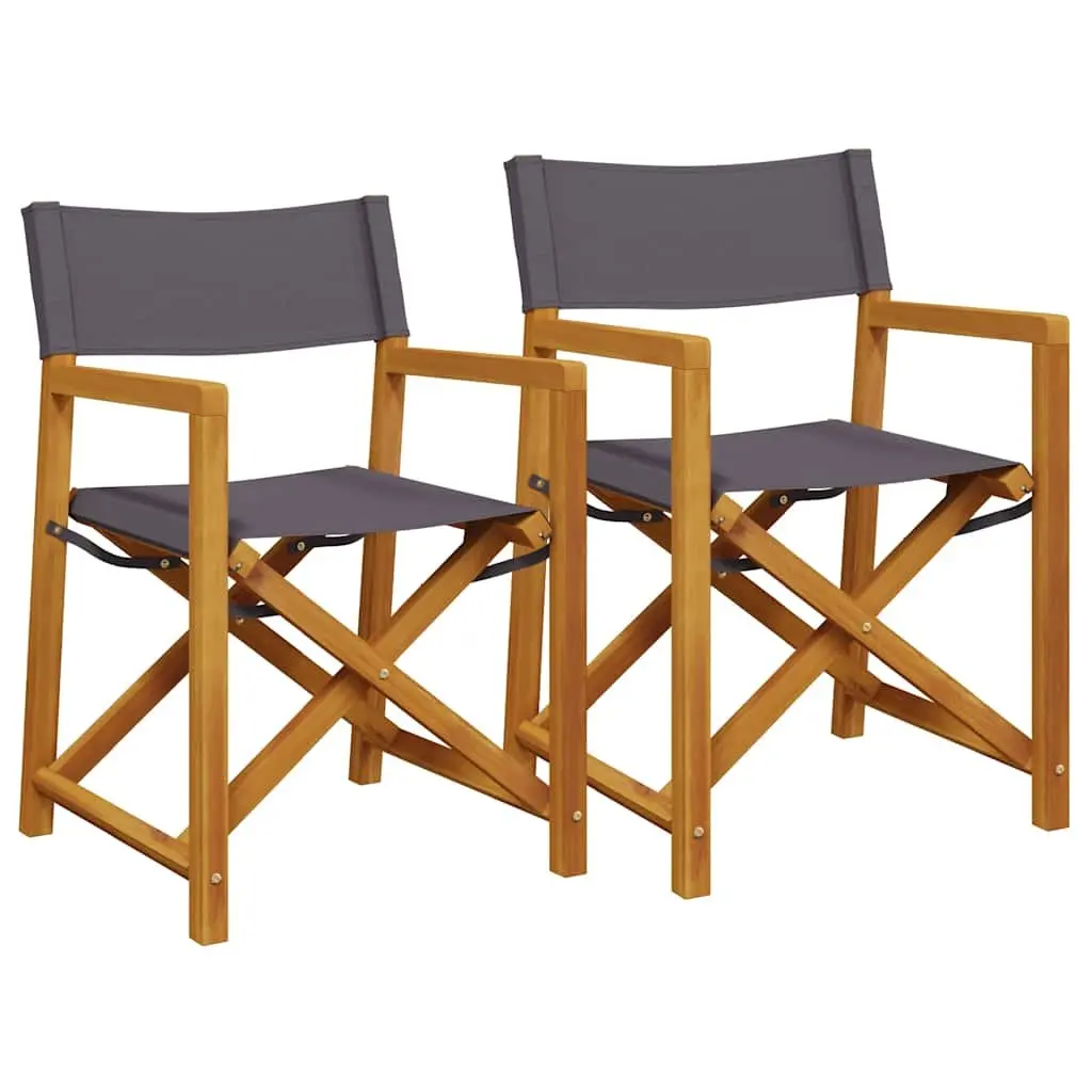 Folding Director Chairs 2 pcs Outdoor Garden Seating Grey Fabric Camping Lounge