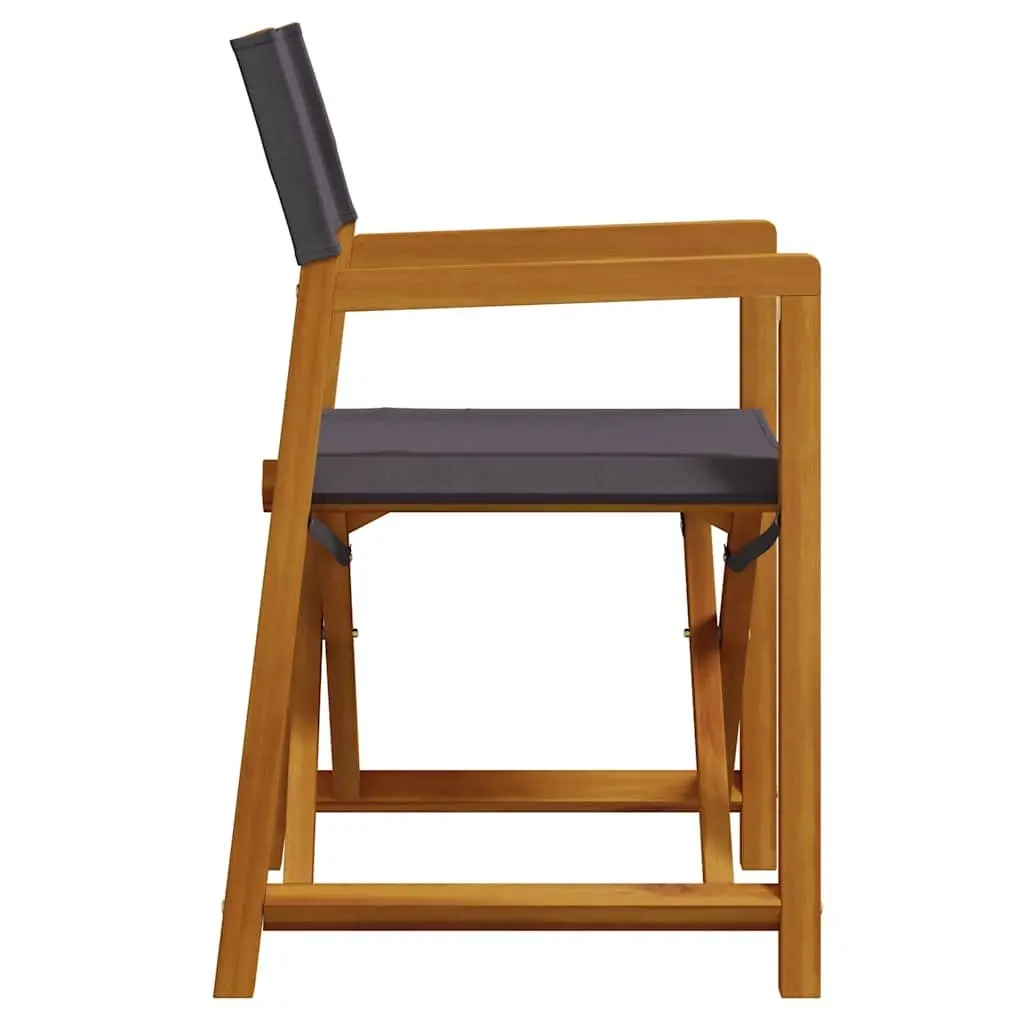 Folding Director Chairs 2 pcs Outdoor Garden Seating Grey Fabric Camping Lounge