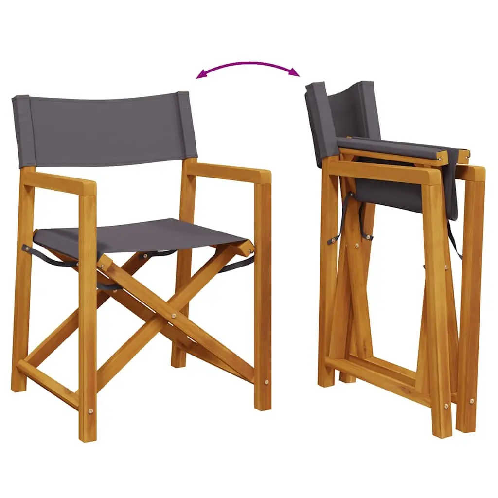 Folding Director Chairs 2 pcs Outdoor Garden Seating Grey Fabric Camping Lounge
