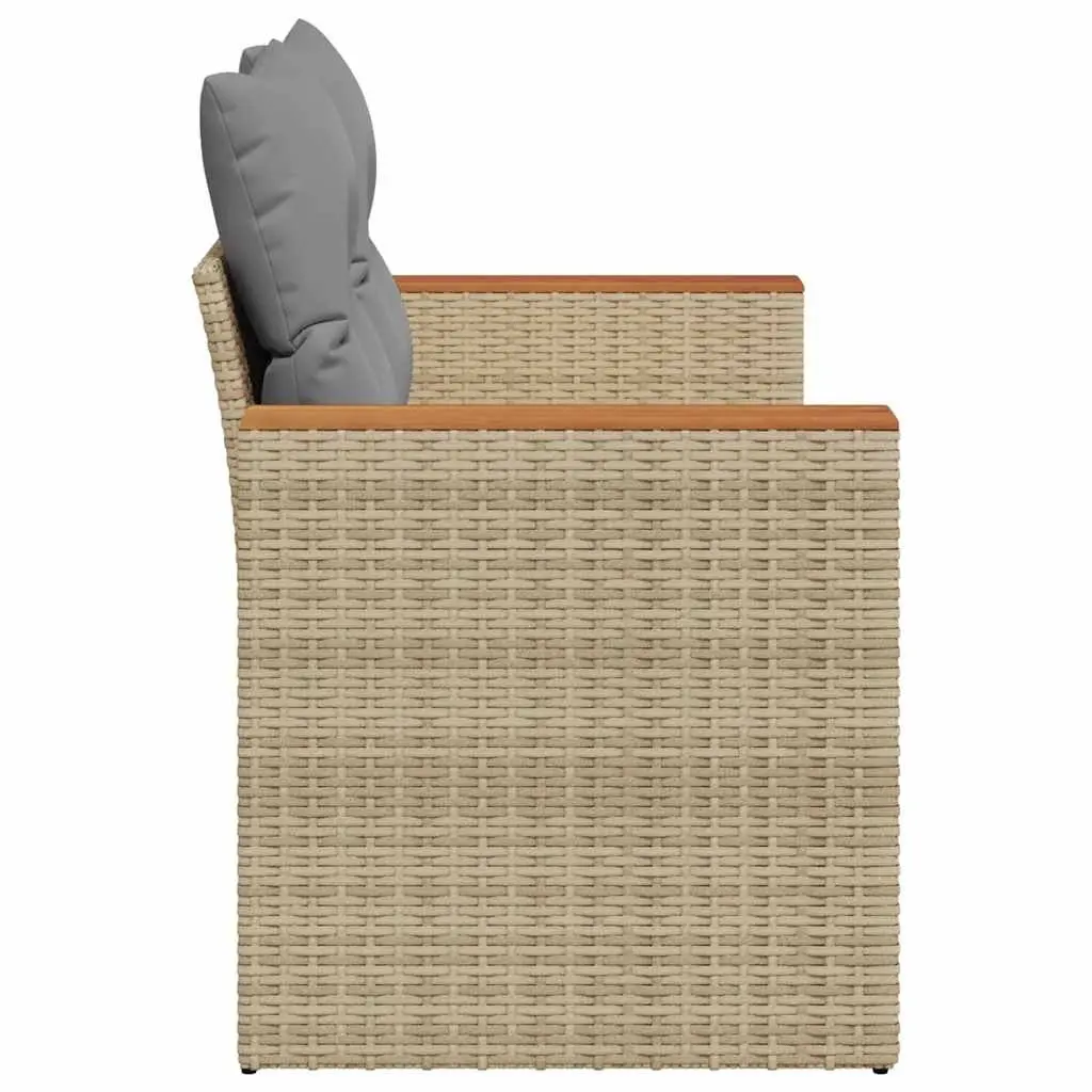 2-Seater Garden Sofa with Storage Cushions PE Rattan Beige