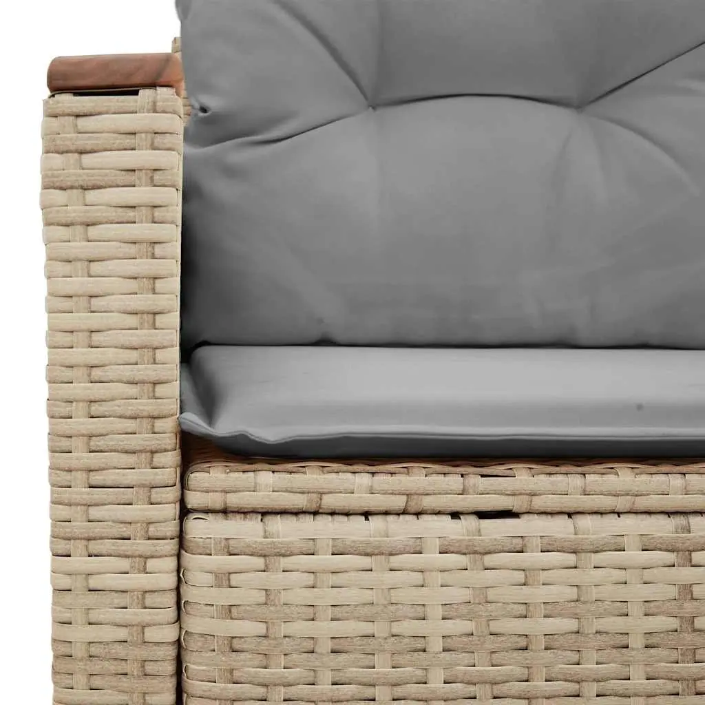 2-Seater Garden Sofa with Storage Cushions PE Rattan Beige