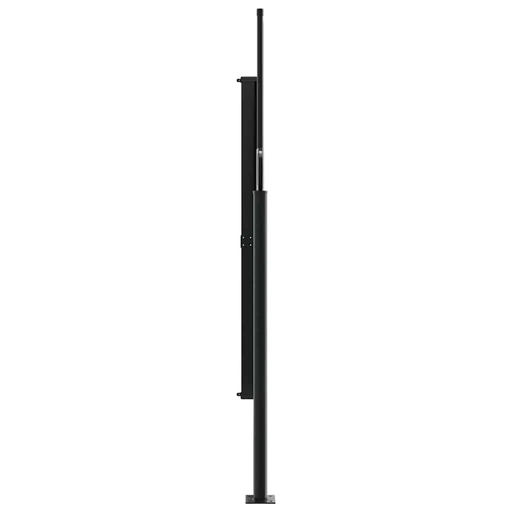Retractable Side Awning Black 160x300 cm Outdoor Privacy Screen Garden Patio