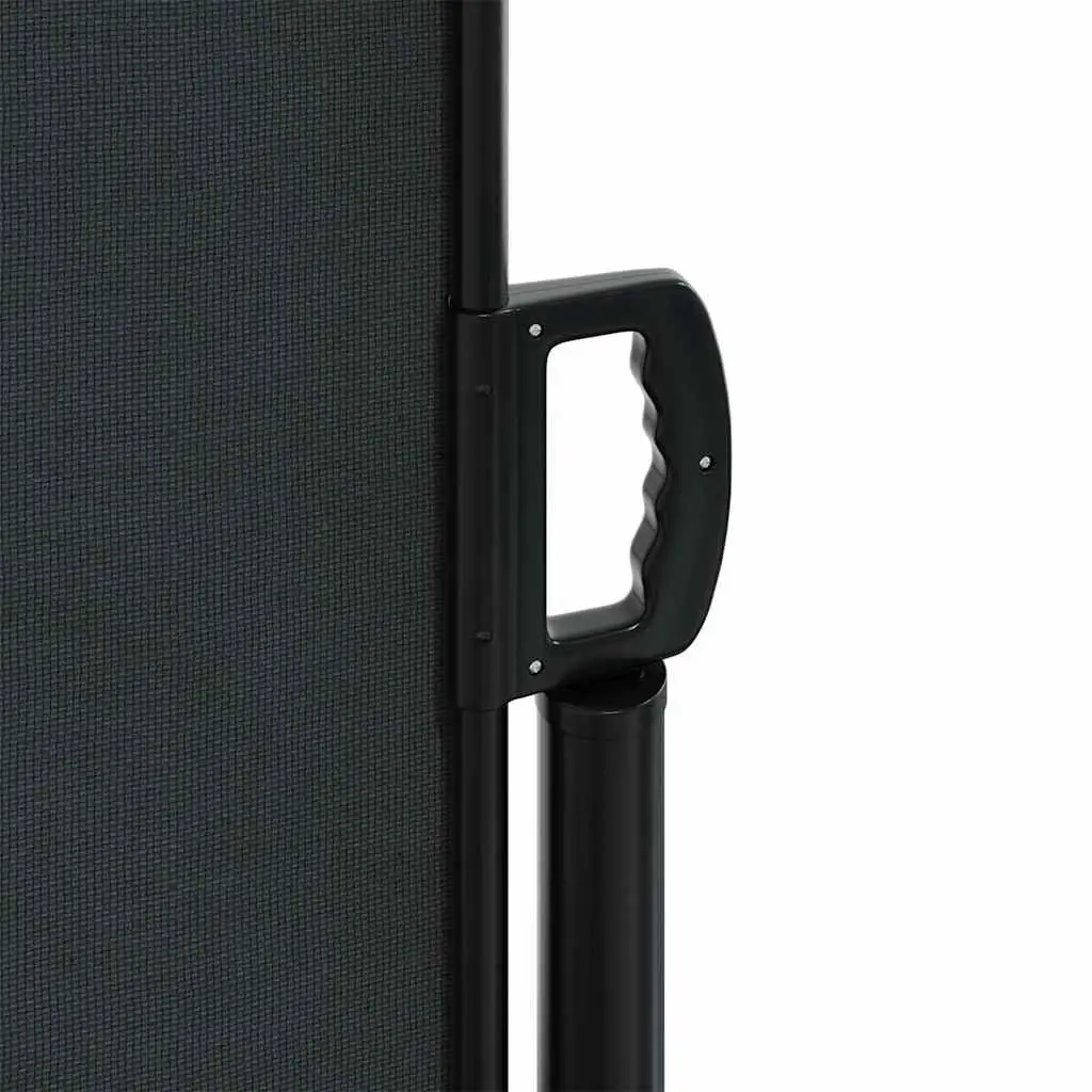 Retractable Side Awning Black 160x300 cm Outdoor Privacy Screen Garden Patio