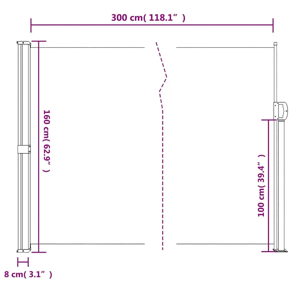 Retractable Side Awning Black 160x300 cm Outdoor Privacy Screen Garden Patio