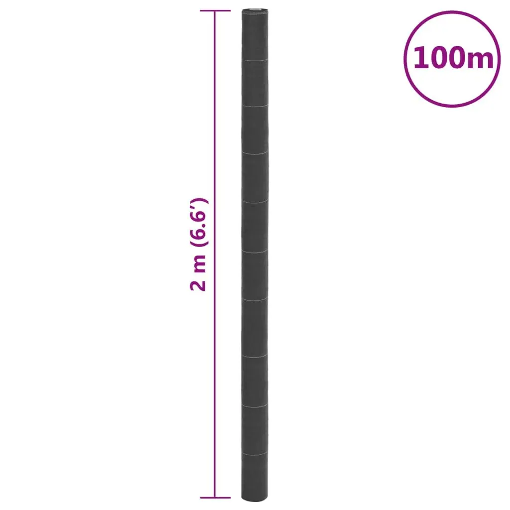 Weed Membrane Black Durable Polypropylene 2x100 m Landscape Fabric Mat Garden Weed Control