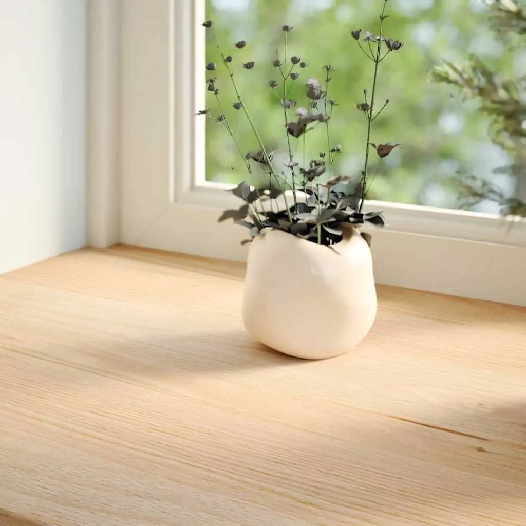 Window Sills Solid Oak Wood Untreated Natural 120x25x2 cm 2 Pcs
