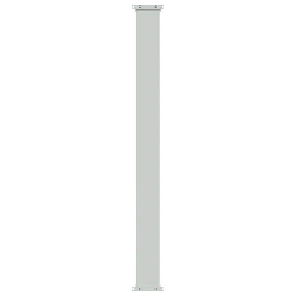 Retractable Side Awning Outdoor Shade Privacy 100x500 cm Black Polyester
