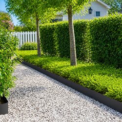 Steel Lawn Edging 10 Pieces 100 x 20 cm Garden Border Landscape Barrier Black