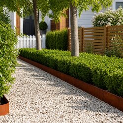 Garden Lawn Edging 20 pcs 100 x 20 cm Steel Border Landscape Flexib