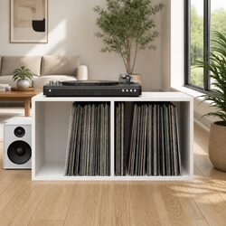 Vinyl Storage Box White 71x34x36 cm LP Record Cabinet Engineered Wood Unit