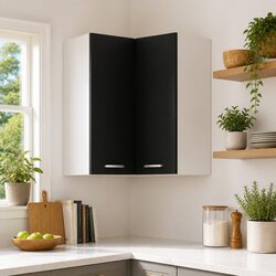 Hanging Corner Kitchen Cabinet Black Storage Unit with Two Shelves Doors
