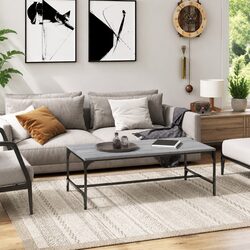 Industrial Coffee Table Grey Sonoma 100x50x35cm Living Room Accent Furniture