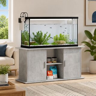 Fish & Aquarium