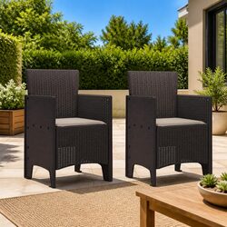 Outdoor Chairs 2 Piece Set Brown Garden Seating Modern Backyard Patio Furniture