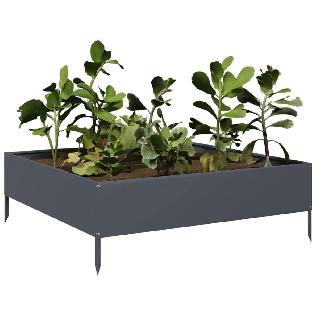 Steel Raised Garden Bed Planter Open Bottom Anthracite 100x100x33.5cm Outdoor Flowers