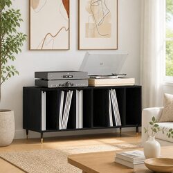 Record Cabinet Media Storage Unit Black Oak Modern Living Room Vinyl Books