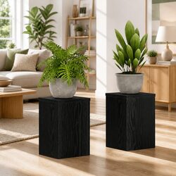 Plant Stand 2 pcs Black Engineered Wood Indoor Outdoor Garden Display 20x20x30cm