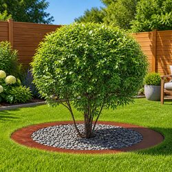Tree Ring for Flat Trees 5 Pieces Brown Outdoor Garden Decor Ø90/120cm Set